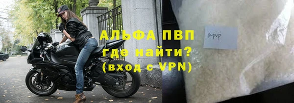 гашик Богданович