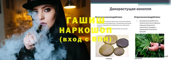 гашик Богданович