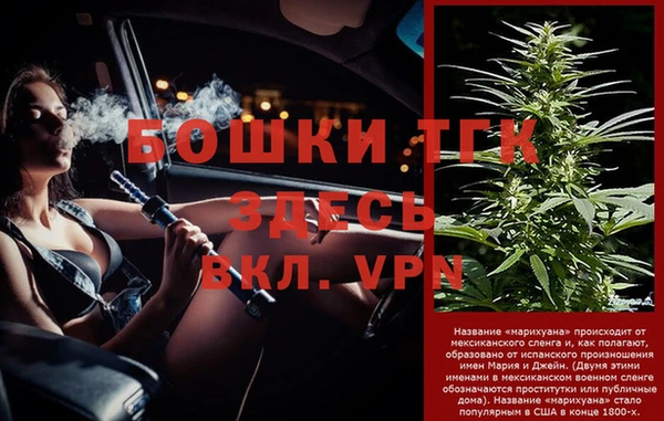 гашик Богданович