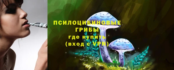 кокс Богородск