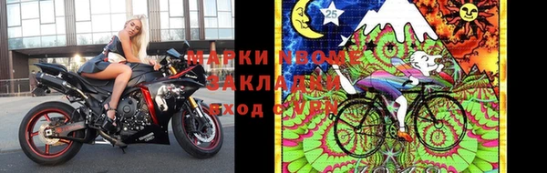 гашик Богданович