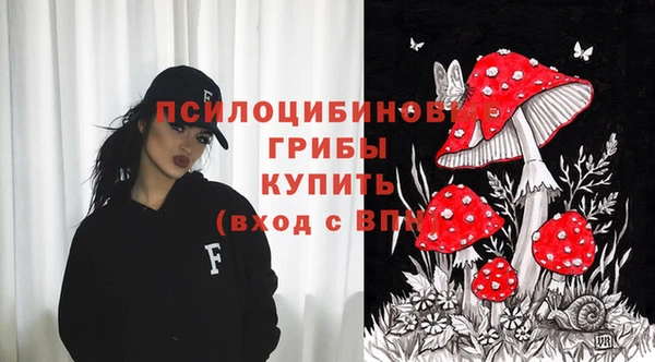 гашик Богданович