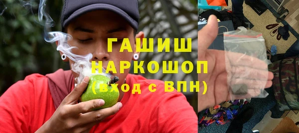 гашик Богданович