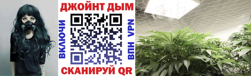 Каннабис планчик  Брюховецкая 